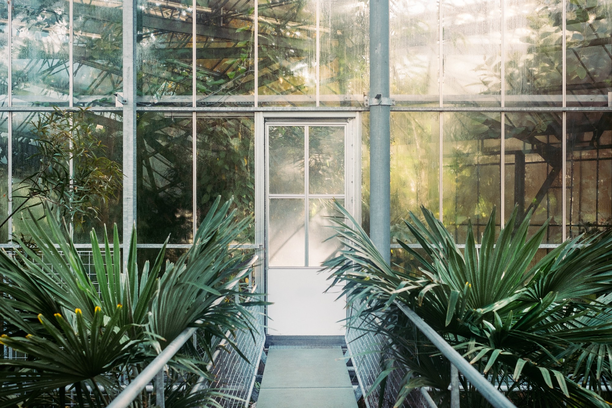 Botanischer Garten Berlin